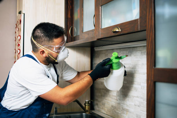 Best Residential Pest Control  in Annandale, VA