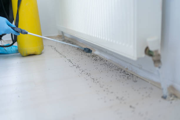 Annandale, VA Pest Control Company